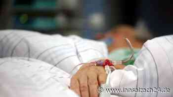 Nach Fall im Risikogebiet Mühldorf: Was ist das Borna-Virus? „Mit nur einer Ausnahme tödlich“