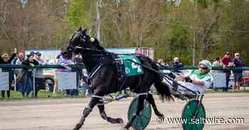 Kiss Me I'm Irish wins at Cape Breton's Northside Downs on Saturday - Saltwire