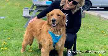 'He would have been slaughtered': Cape Breton dogs were destined for dinner plate - Saltwire