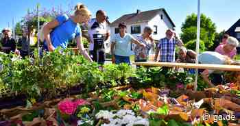 „Markt der Vielfalt“: Flutopfer bekommen in Sinzig kostenlos Pflanzen für den Garten - General-Anzeiger Bonn