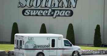 Ontario farm fined $125K after pleading guilty in death of migrant worker from COVID