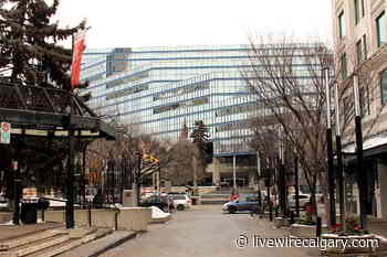 The Hall: What's happening at Calgary city council - June 6 to 10 - LiveWire Calgary