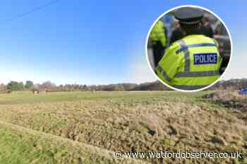 Teen allegedly attacked with knife at Chorleywood Common
