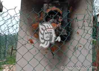 Localidad de Cerritos sin agua potable por daños en el sistema de bombeo - Imagen del Golfo