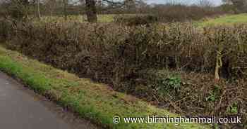 Solihull cyclist, 81, rammed off road into ditch by car during 'bike-jacking' - Birmingham Live