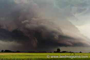 Farmer sentiment plummets as production costs skyrocket