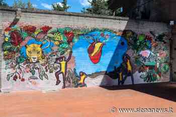 Siena, pace tra gli uomini e armonia con la natura: il mondo ideale dei ragazzi nei murales - Siena News
