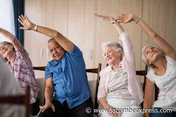 Seniors’ Week supports healthy activity and independence - Lacombe Express
