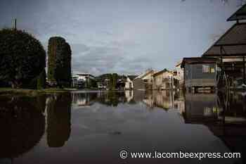 ‘15-20 structures’ flooded in northwest B.C., as flood risk continues - Lacombe Express