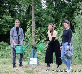 Bewässerungsbeutel zum Wohl der Stadtbäume - Marl - www.lokalkompass.de