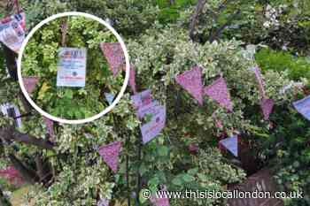 Buckhurst Hill 'heart tree' creator's jubilee decorations