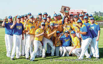 Baseball: Russia baseball reaches state final four - sidneydailynews.com