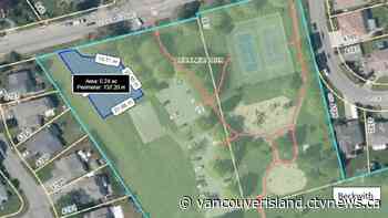 Saanich dog parks: Off-leash pop-up parks return | CTV News - CTV News VI