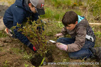 Creston students help restore wetlands - Creston Valley Advance