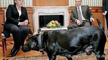 Merkel, Putin und die Sache mit dem Hund