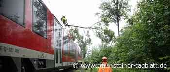 Traunstein: Baum stürzt auf Triebwagen der Südostbayernbahn - Traunsteiner Tagblatt