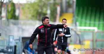 Ancona-Matelica, mister Colavitto guiderà i biancorossi per altri due anni - Picchio News