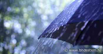 Regengeval neemt zorgen over droogte in Zeeland (voorlopig) weg: 'het dorre geel is er niet meer' - BN DeStem