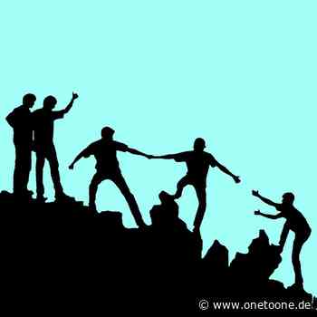 Jede/r Zweite vertraut dem Internet mehr als Freunden und Bekannten - ONE to ONE