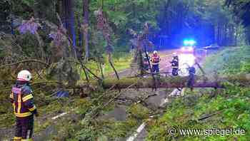 Stürmisches Pfingstwochenende: Unwetter in den Alpen – 30.000 Haushalte ohne Strom, umgestürzte Bäume auf der Tauernautobahn - DER SPIEGEL