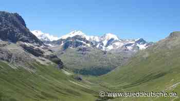 Klima - Alpen ergrünen: Bergflora durch Klimawandel bedroht - Wissen - SZ.de - Süddeutsche Zeitung - SZ.de
