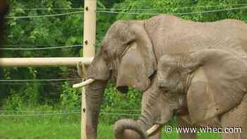 Seneca Park Zoo Keeps AZA Accreditation