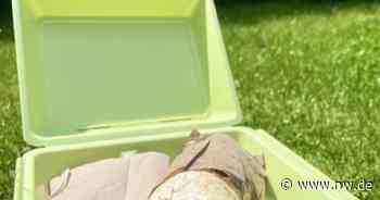 Essen zum Eintuppern: So lief der Mehrweg-Test in Paderborn - Neue Westfälische