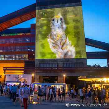 Extraschicht in Essen: So sieht das Programm aus - Radio Essen