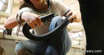 Youths compete in Texas Junior Angus Association show at Bell Expo Center - The Killeen Daily Herald