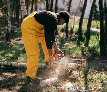 Angus takes credit for securing federal funding for record number of summer jobs - My Timmins Now