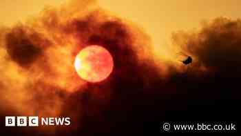 Bonn climate conference: World is "cooked" if we carry on with coal, US says