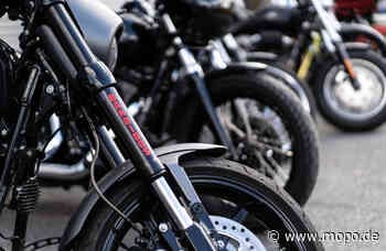 Polizei und Staatsschutz stoppen Motorradgang auf Rügen - Mopo.de