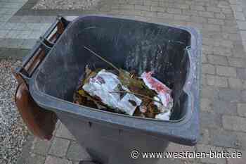 Vlotho kann den Müll rausstellen - Westfalen-Blatt