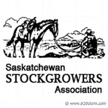 Study released on beef packing plant for Saskatchewan - 620 CKRM.com