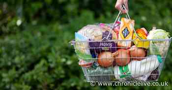Food prices not the issue, says boss of UK's second most expensive supermarket - Chronicle Live