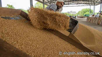 Is a wheat crisis looming for a food scarce Middle East? - The New Arab
