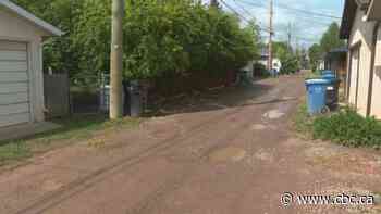 AHS says 911 call about fatal dog attack was initially classified as 'non-life-threatening'