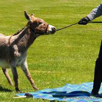 Tourinho Knows More About Catholicism Than I Do? - Patheos