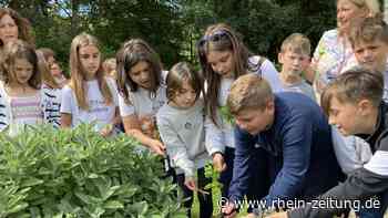 Besuch aus Italien und Madeira in Metternich: Schüler lernen europäischen Austausch - Rhein-Zeitung