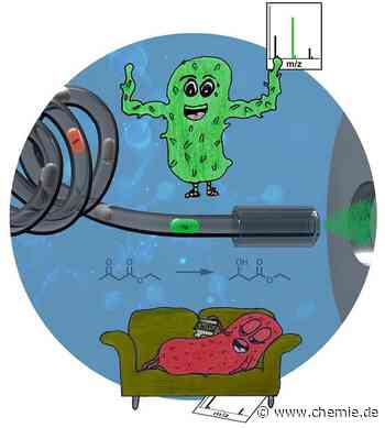 „Faule“ und „fleißige“ Zellen in der Biokatalyse identifizieren