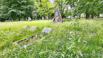 Ärger über den Zustand des alten Friedhofs in Eisleben: „Verwahrlost immer mehr“ - Mitteldeutsche Zeitung
