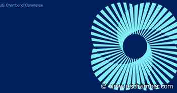 Prohibition on Inclusion of Adverse Information in Consumer Reporting in Cases of Human Trafficking (Regulation V); 87 FR 20771 - uschamber.com