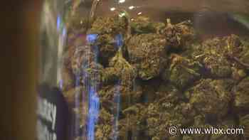 City of Biloxi open the door for medical marijuana businesses - WLOX