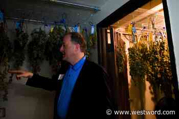 Lawsuit Dismissed Against Polis for Signing Medical Marijuana Law - Westword
