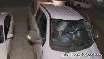 Aurora City Councilman Calls For Mandatory Jail For Car Thieves - CBS Denver