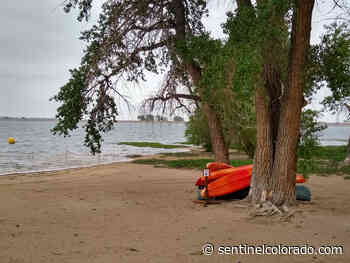 Aurora water experts say keeping public waters 'p-free' can keep the green out of the blue - Sentinel Colorado