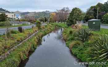 'One of the most degraded rivers in Christchurch': Council must step up to protect Heathcote - Otago Daily Times