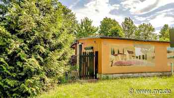 Umgestaltung vor der Laga bringt Unruhe in Kleingärten in Wittenberg - Mitteldeutsche Zeitung