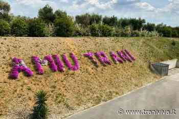 Amiu, approvato il bilancio 2021 e formalizzata la nomina dell'ingegner Ambrogio Giordano - TraniViva