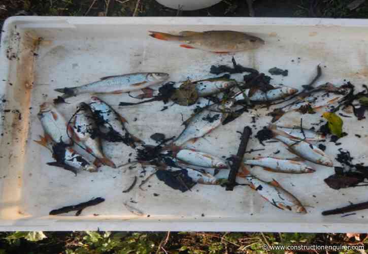 Danaher and Walsh fined following death of 2,413 fish